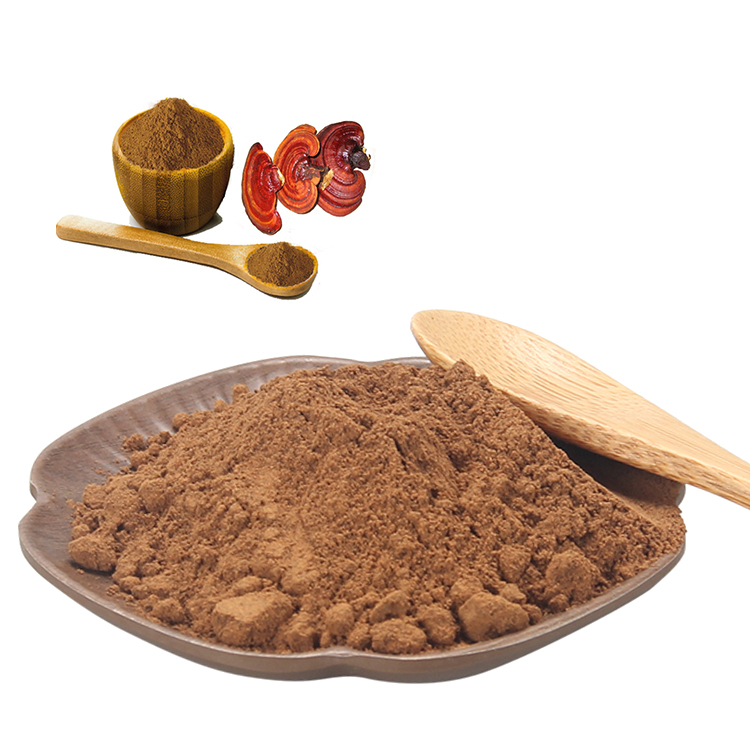 No Synthetic Ingredients USDA Certified Organic Red Reishi Mushroom Extract Powder
